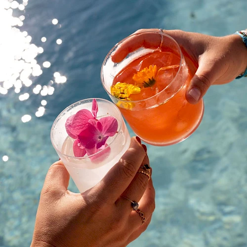 Two hands hold vodka-cocktail style drinks with flowers (orange in one, pink in other) over a bright blue pool, sunny vibes, cheers.