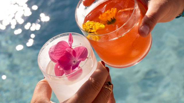 Two hands hold vodka-cocktail style drinks with flowers (orange in one, pink in other) over a bright blue pool, sunny vibes, cheers.
